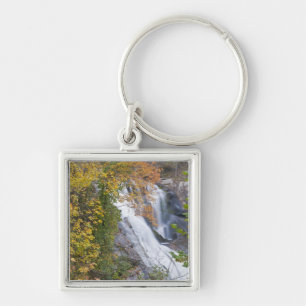 Bald River Falls Fyrkantig Silverfärgad Nyckelring