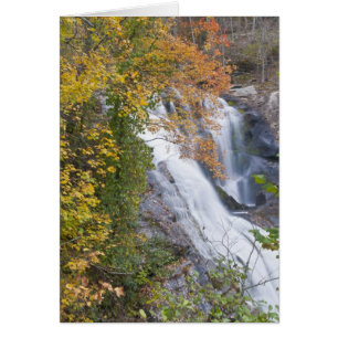 Bald River Falls Hälsningskort