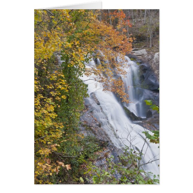 Bald River Falls Hälsningskort (Framsidan)