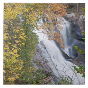 Bald River Falls Kakelplatta
