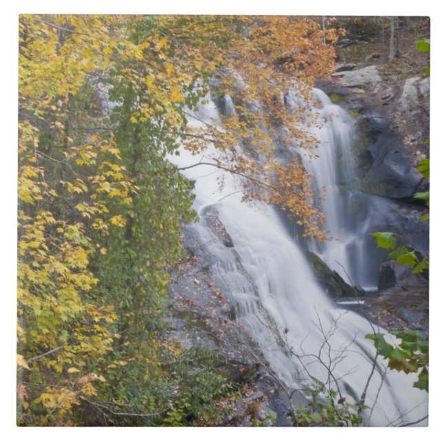 Bald River Falls Kakelplatta (Framsidan)