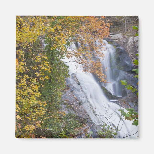 Bald River Falls Magnet (Framsidan)