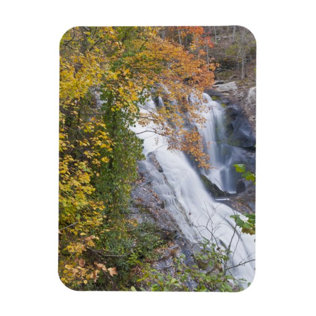 Bald River Falls Magnet (Vertikal)