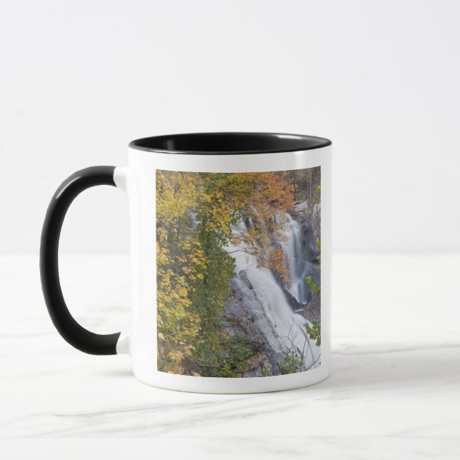 Bald River Falls Mugg (Vänster)