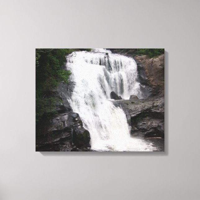 Bald River Falls Tellico Plains Tennessee Canvastryck (Framsida)