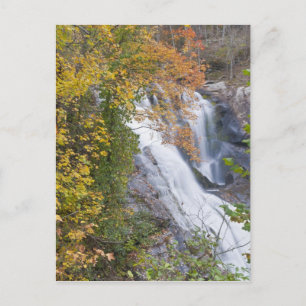 Bald River Falls Vykort