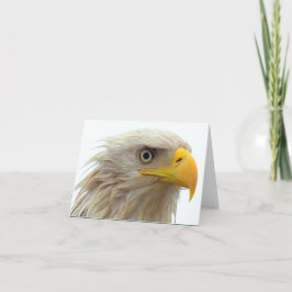 BaldeagleupClose Kort