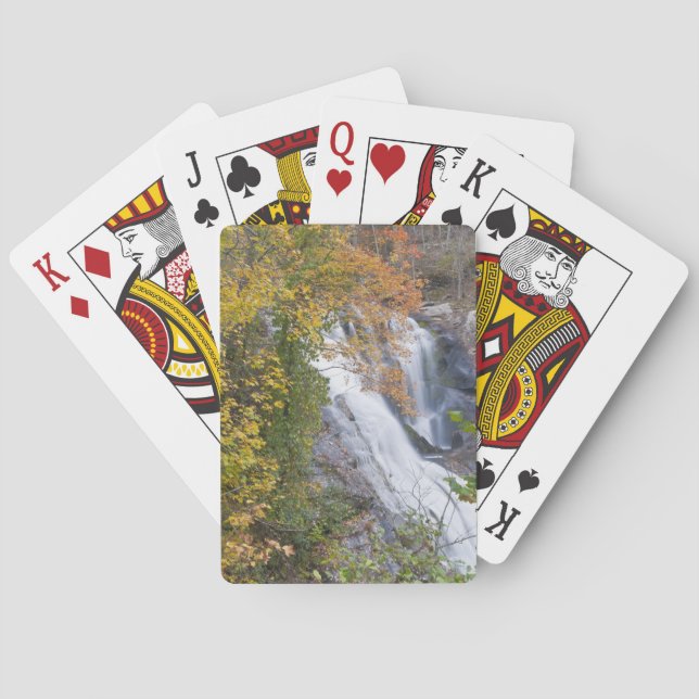 Baldfloden Falls Kortlek (Baksidan)