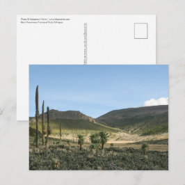 Bale Mountains Etiopien Vykort