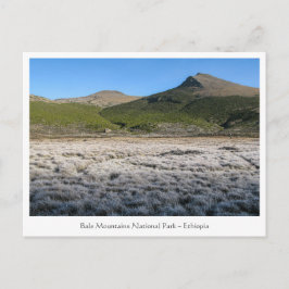 Balebergen Etiopien Vykort