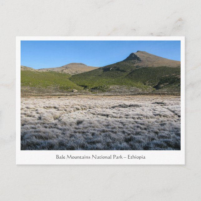 Balebergen Etiopien Vykort (Framsida)