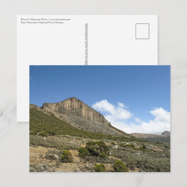 Balebergen Etiopien Vykort (Fram/baksida)