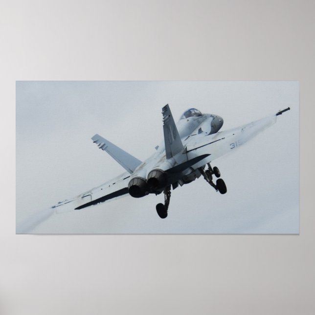 Bålgeting F/A-18 Poster (Framsidan)