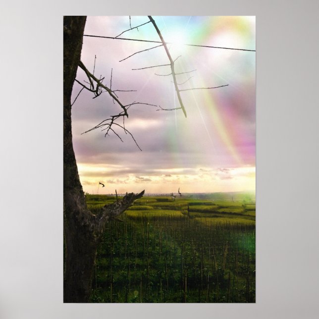 Bali-feilderna Poster (Framsidan)