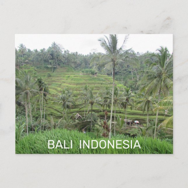 Bali Indonesia-vykort Vykort (Framsida)