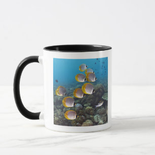 Bali Indonesien Mugg