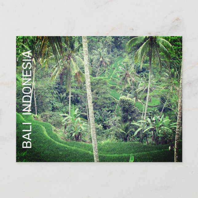 Bali Indonesien vykort (Framsida)