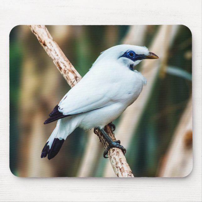 Bali Myna Bird Mousepad Musmatta (Framsidan)