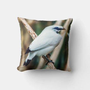 Bali Myna fågeldekorativ kudde