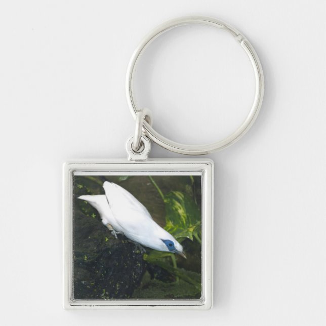 Bali Myna Fyrkantig Silverfärgad Nyckelring (Framsidan)