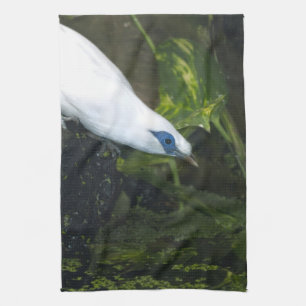 Bali Myna Kökshandduk