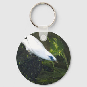 Bali Myna Nyckelring