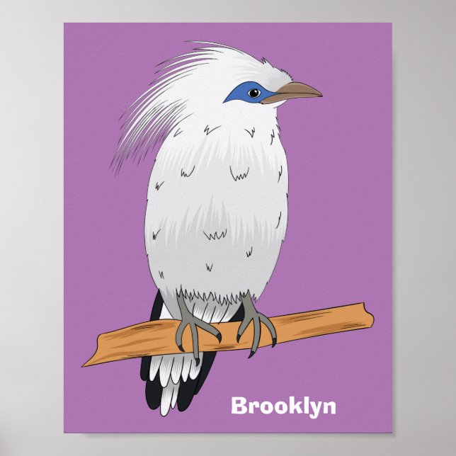 Bali Myna tropisk exotisk fågel Poster (Framsidan)