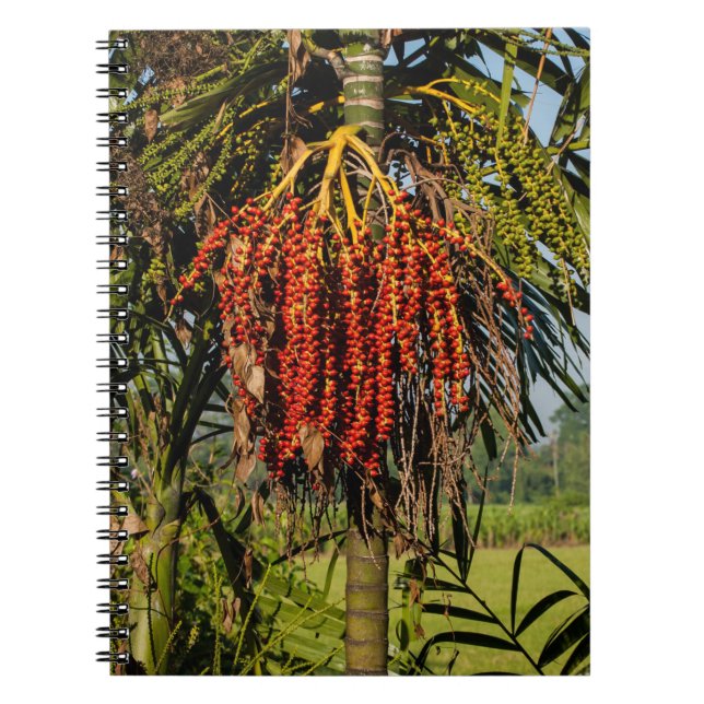 Bali Palm Fruit Rice Field Notebook Anteckningsbok (Framsidan)