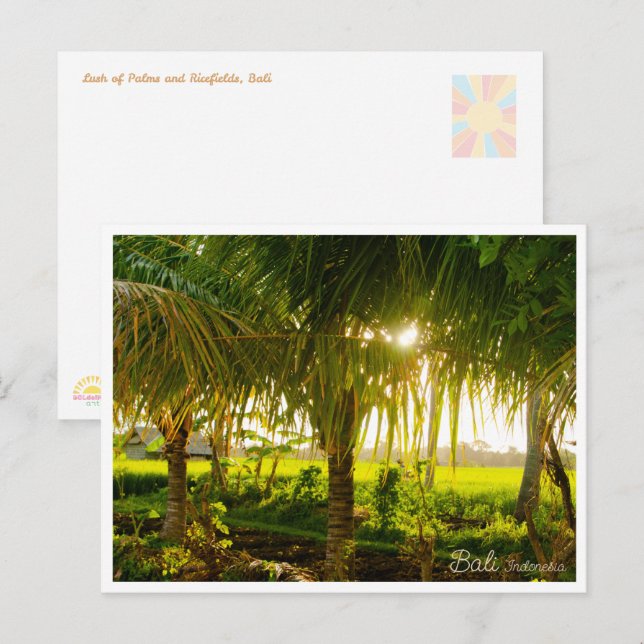 Bali Palm Trees & Ricefield Postcard Helg Vykort (Fram/baksida)