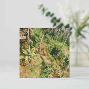 Bali-regnskog