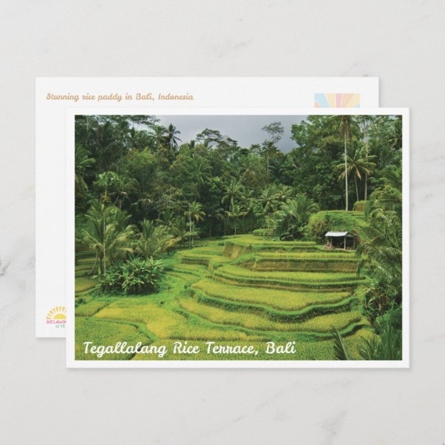 Bali Rice Terraces Scenic Travel Postcard Vykort (Fram/baksida)