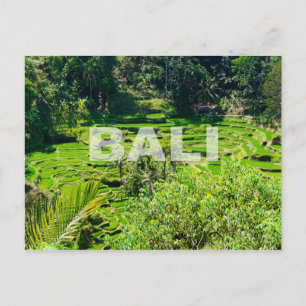 Bali Ris Terraces Vykort