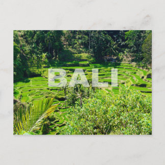 Bali Ris Terraces Vykort