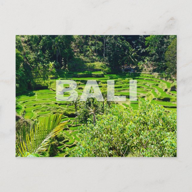 Bali Ris Terraces Vykort (Framsida)