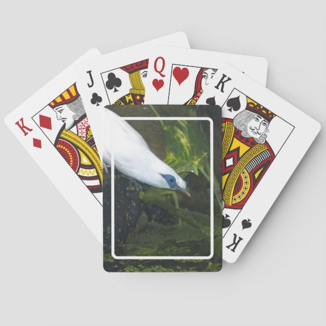 Balimyna Casinokort (Baksidan)