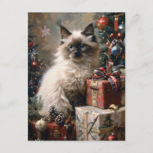Balinese Kitten Jul Cat Porträtt Art Vykort