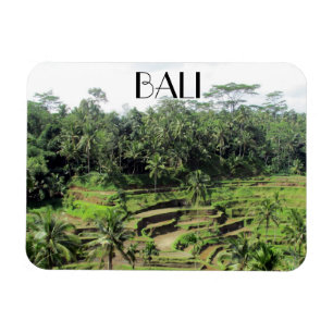 baljpaddie (bali ris) magnet