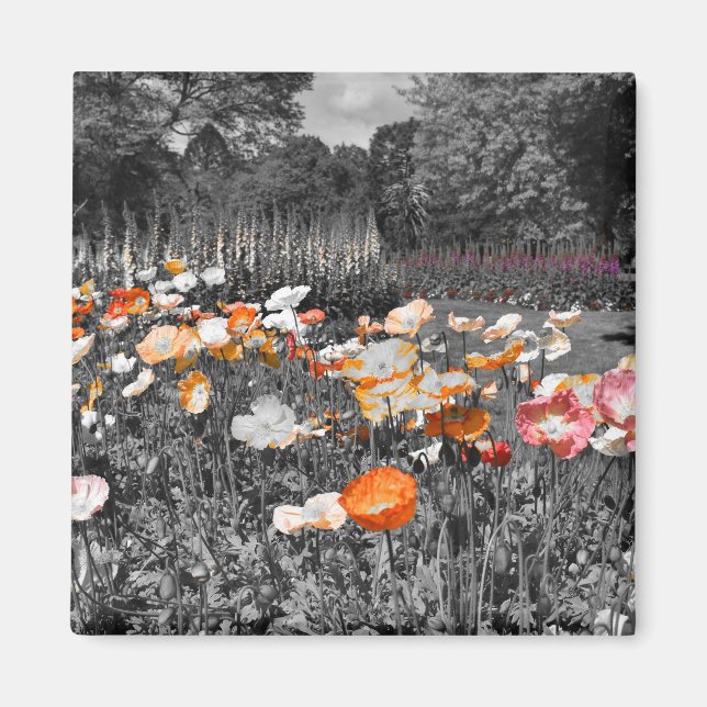 Ballarat Botanic Gardens Blommigt Visning Magnet (Framsidan)