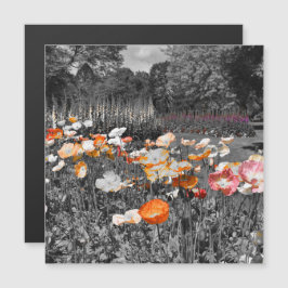 Ballarat Botanic Gardens Blommigt Visning Magnet