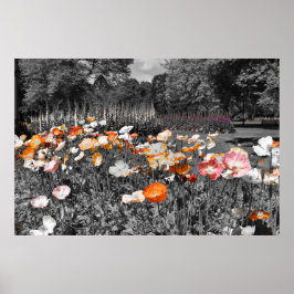 Ballarat Botanic Gardens Blommigt Visning Poster