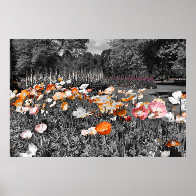 Ballarat Botanic Gardens Blommigt Visning Poster (Framsidan)