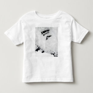 Balleny öar, nära Antarktis T-shirt