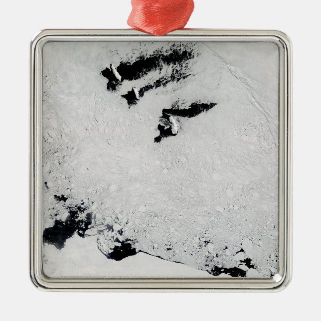 Ballenyöarna, nära Antarctica Julgransprydnad Metall (Framsidan)