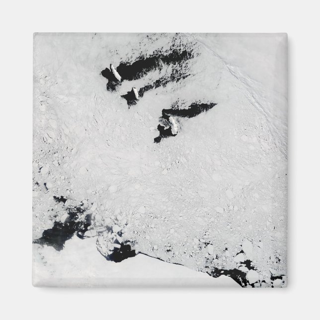 Ballenyöarna, nära Antarctica Magnet (Framsidan)