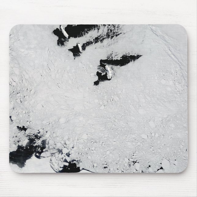 Ballenyöarna, nära Antarctica Musmatta (Framsidan)