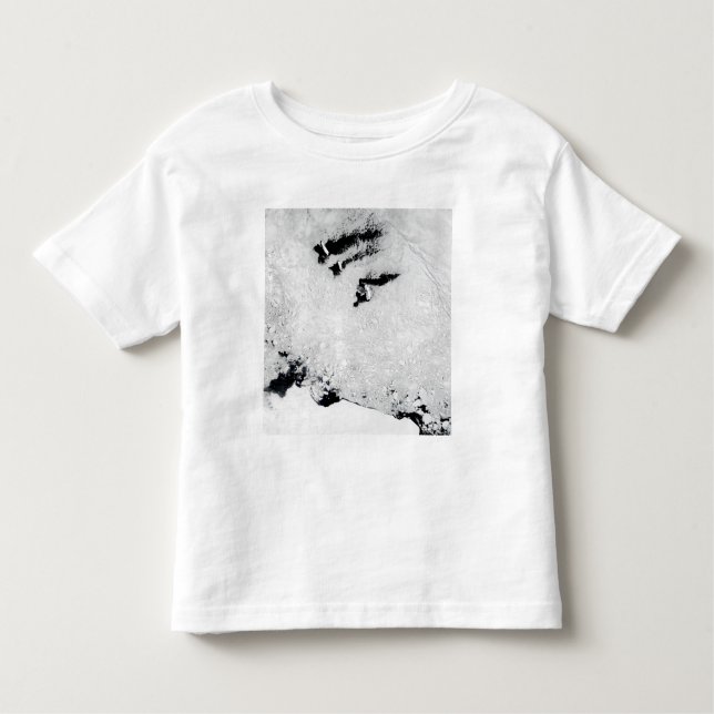 Ballenyöarna, nära Antarctica T-shirt (Framsida)