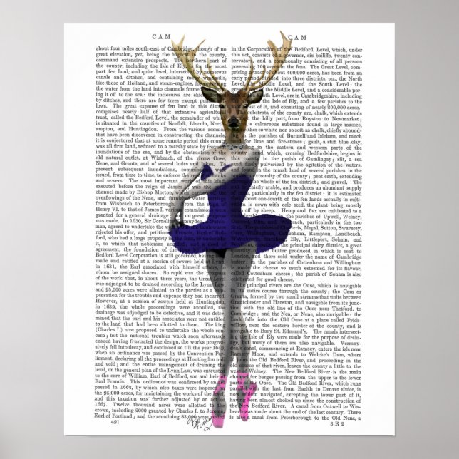 Ballerina Hjort i Blue Poster (Framsidan)