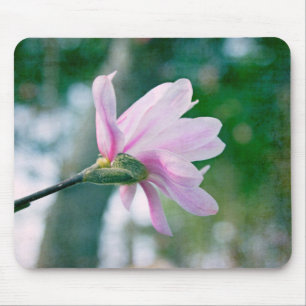 Ballerina Magnolia Musmatta
