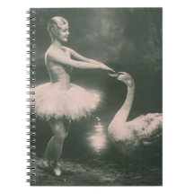 Ballerina och svan Faux Vintage Fotografering