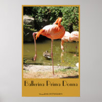 Ballerina Prima Donna Poster!